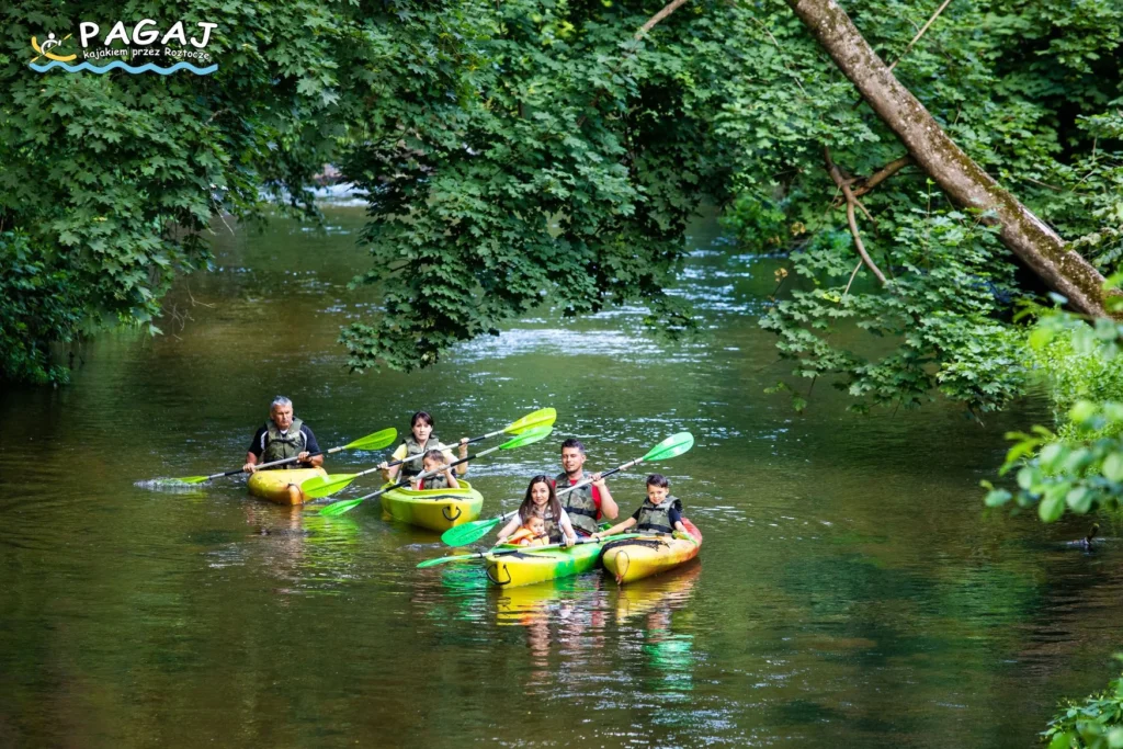 Grafika na stronę główną Spływy Kajakowe Pagaj Zwierzyniec rzeką Wieprz