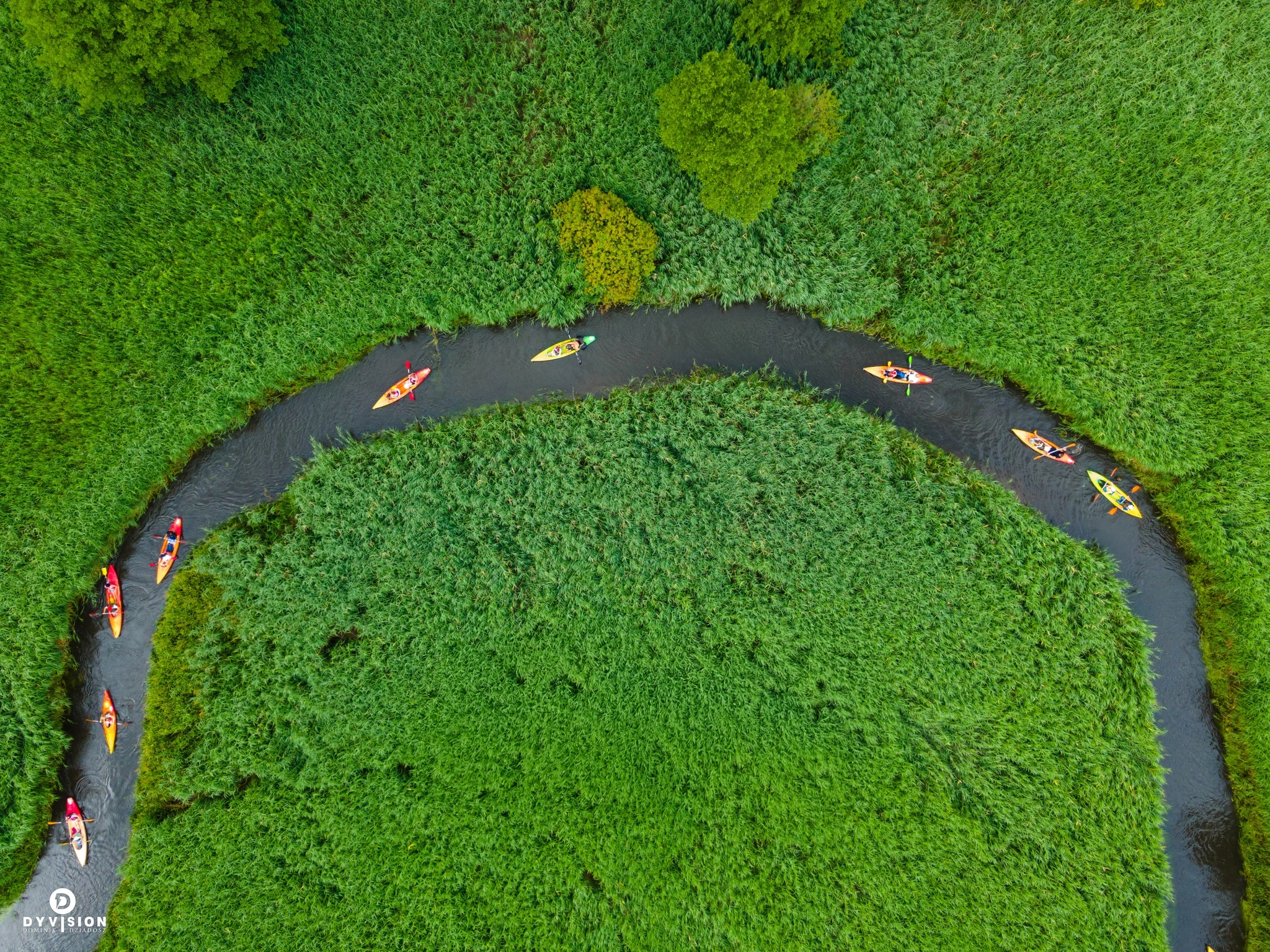 Cennik Pagaj Spływy Kajakowe Zwierzyniec Tło