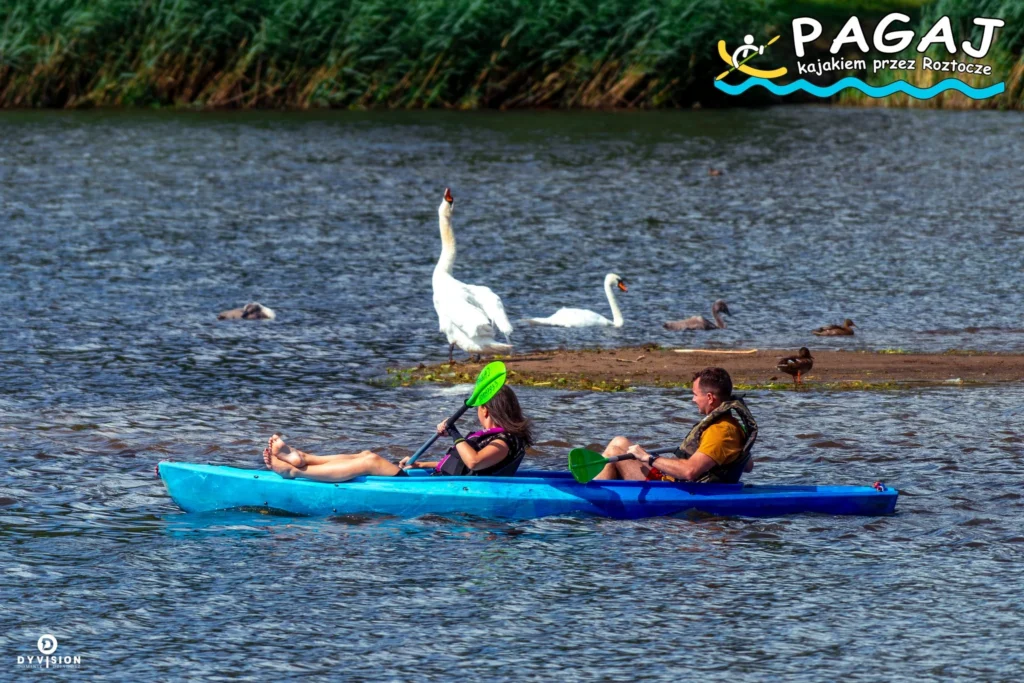 Cennik 2-osobowy kajak na zalewie Rudka
