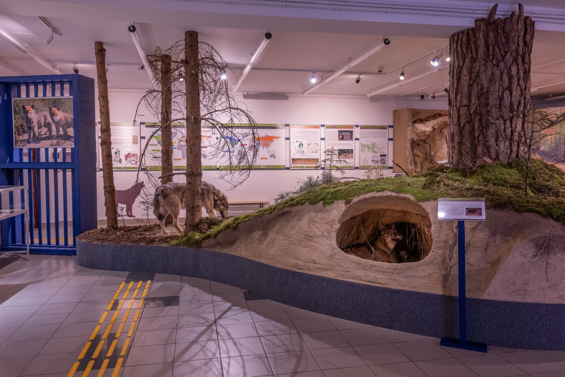 Roztoczański Park Narodowy Wystawy